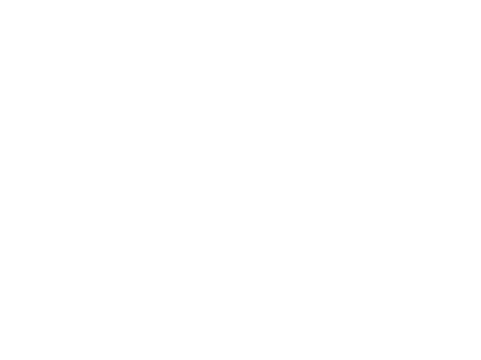 Applicaa Logo